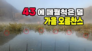 가온[붕어보트낚시]Ver133. 가을 오름수위 초대박 난리났습니다!