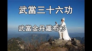 武當金丹鐵布衫（字幕版）