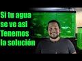 Agua Verde En Mi Acuario | ¿Que Es y Como Tratarlo? | Ciencia Detrás Del Telón Verde