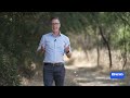 the fight to save tasmania s wilderness from bushfires abc news