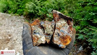 Copper Zone Has Massive Chalcopyrite In Quartz Veins! (Lucky Strike Property) $KLM