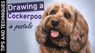 How to draw soft Cockerpoo fur in pastels | Tips & techniques