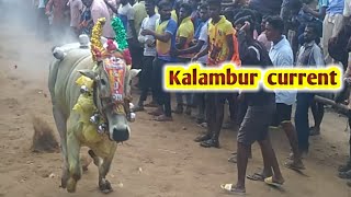 ||kalambur current 9.99sec ||kattukanalur street ||12/3/2023 ||TAMIZH ROCK ||