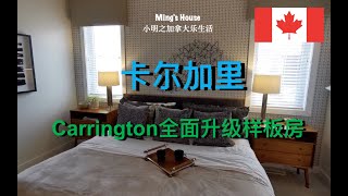 卡尔加里 Carrington全面升级样板房！