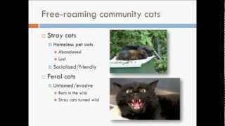 Shelter Crowd Control - Keeping Community Cats Out of Shelters - webcast