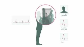 Pulse recognition by MultiSense Technologies