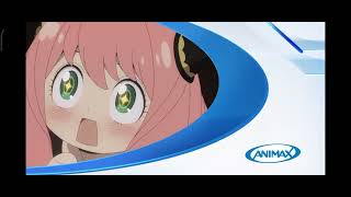 BS Animax - Short continuity (11/7/2024)