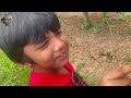 canadian farm experience ns sweet cherry கனடாவில் இந்த ஆண்டு அழகான கோடைக்காலம் canada tamil vlog