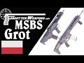 MSBS Grot: The Complete History of Poland's New Army Rifle