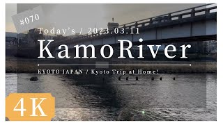 〓 4K 〓 2023.03.11.  KYOTO KAMO RIVER. 京都 鴨川 松原橋  清水五条