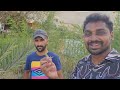 nomad daily life in desert 🏜 farming in israel 🇮🇱 uma telugu traveller