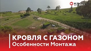 Кровля с Газоном. Особенности Монтажа