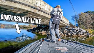 Fishing Bridges \u0026 Grass on Legendary Lake Guntersville!