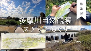 【多摩川自然観察スケッチめぐり】EP4　多摩川左岸約4㎞地点　六郷