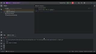 come usare print e input in python