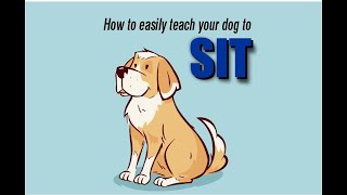 How to Easily Teach Your Puppy to Sit | Simple Dog Training Tips