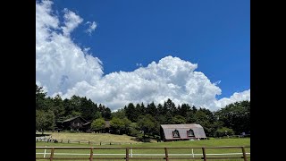 マチカネフクキタルを偲ぶin旧小須田牧場【生誕祭2023】