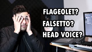 What the BEST SINGERS DO! Understanding Falsetto, Head Voice & Flageolet | Vocal Range Definitions
