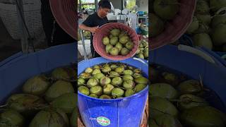 Smart coconut cutting machine - Fruit Cutting Skills