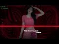 phải khóc hay cười remix nhạc remix hot tiktok 2024. liwiz media