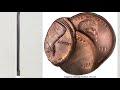 how valuable can a 1981 penny be penny worth money you should know about