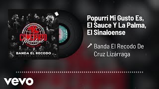 Popurrí Mi Gusto Es/ El Sauce Y La Palma/ El Sinaloense (En Vivo/Audio)
