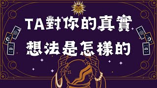 考拉塔羅占卜丨TA對你的真實想法是怎樣的丨四選一