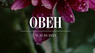 Овен. 15-21.05.2023. ♈️♉️♊️♋️♌️♍️♎️♏️♐️♑️♒️♓️❤️ 👍