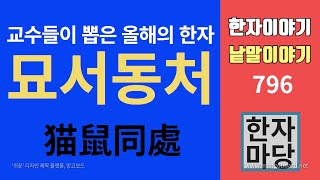 한자이야기 #796 교수들이 뽑은 2021년 올해의 사자성어 '묘서동처'란 낱말을 살펴보겠습니다!!!