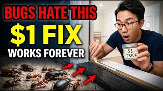 $1 Trick KEEPS Bugs OUT of Your Home FOREVER — Hidden Doorway Method