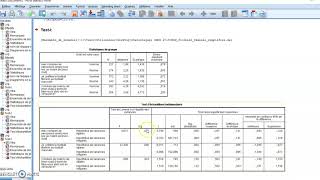 Test Student SPSS