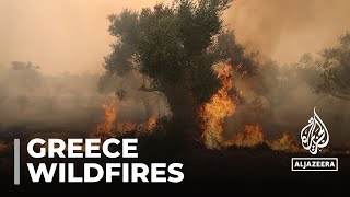 Greece wildfires: Firefighters recover 18 bodies near Turkish border