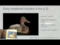 wood ducks past present and future of wildlife conservation