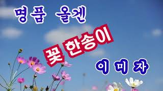 꽃 한송이 ◈씨디음원 구매문의 010-8677-4677 ◈구독. 좋아요 는 매너입니다