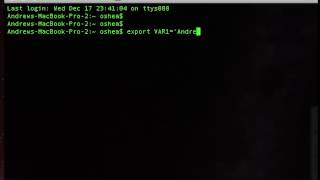export command in BASH enviroment variable