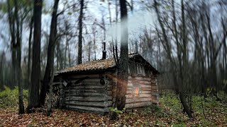 I found an OLD HUT, got tired and spent the night. THE POACHERS' DAM. WINTER QUARTERS IN THE FOREST