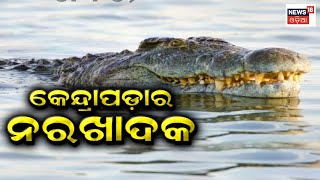 Kendrapara ରେ ଥମୁନି କୁମ୍ଭୀର ଆତଙ୍କ, ପୁଣି ଟାଣିନେଲା ଜଣେ ବୃଦ୍ଧଙ୍କୁ | Crocodile Attack | Odia News