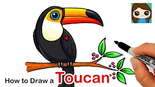 How to Draw a Toucan Bird