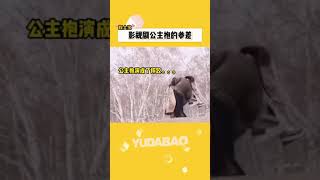 不会公主抱，还演什么偶像剧