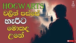 Hogwarts වලින් පස්සේ හැරීගේ ජීවිත කතාව | Life story of Harry after Hogwarts