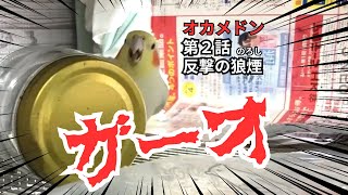 怪獣「オカメドン」第２話：反撃の狼煙（のろし）【オカメインコ】