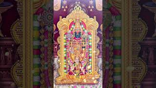 Lord Venkateswara Aarti 🌺🙏🌺 || #viral #spirituality #devotional #divineblessings #aarti