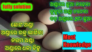 Fully Solution of all egg Problems, ଅଣ୍ଡା ଦେବାର ଅନିୟମିତତା,ଛୋଟ ଅଣ୍ଡା,ନରମ ଅଣ୍ଡା,ଅଣ୍ଡାରେ ରକ୍ତ ଲାଗିବା...