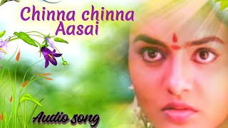 Chinna chinna aasai song/roja movie lyrical song //arrahman/aravindswamy/Madhubala/minmini