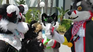 Playing with MOSFET: Blind Fursuiter Meets Silent Fursuiter