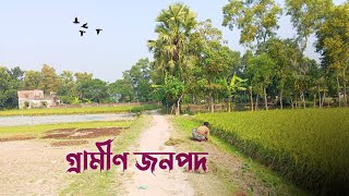 গ্রামের এই সৌন্দর্য কে অনেক মিস করেন প্রবাসী ভাইয়ের || Village life || Comilla Chandina