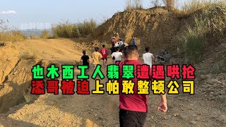 也木西翡翠遭遇哄抢，添哥被迫上帕敢整治公司