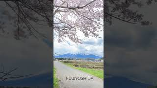 【故郷の風景】富士山の麓、富士吉田市農村公園からのいつもの風景