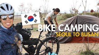 Korea has the best CAMPSITES | Cycling Solo from Seoul to Busan | Ep 3