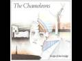 The Chameleons - Less than Human